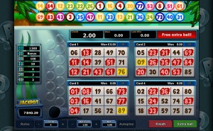 Bingo online spielen